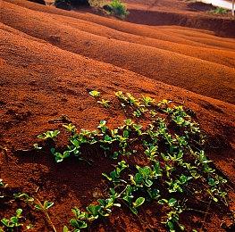 《战锤40K：战争黎明4》官方谈开发理念 更重视单机玩家体验